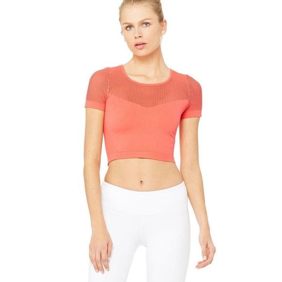 ALO Yoga Tops - Alo Yoga Mesh Crop Top